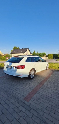 Skoda Superb cena 83500 przebieg: 93000, rok produkcji 2017 z Ełk małe 667